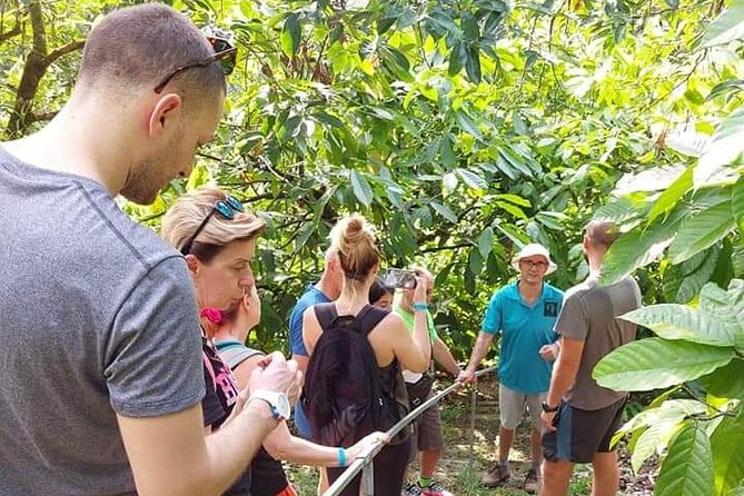 Chocolate and Coffee Tour Farm Don Jorge - Key points to know before you go