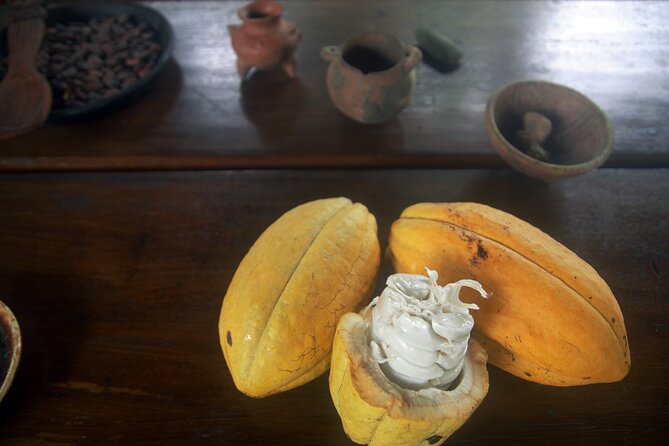 Chocolate and Farm Tour with local Tico family - A family farm 25 minutes from La Fortuna