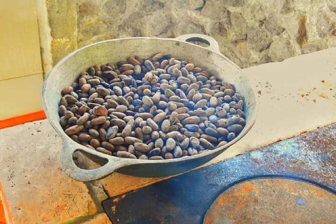 Chocolate and Farm Tour with local Tico family - Who will enjoy this cacao experience most?