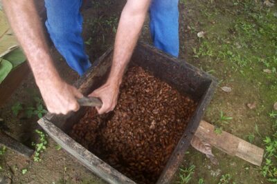 Chocolate and Farm Tour with local Tico family
