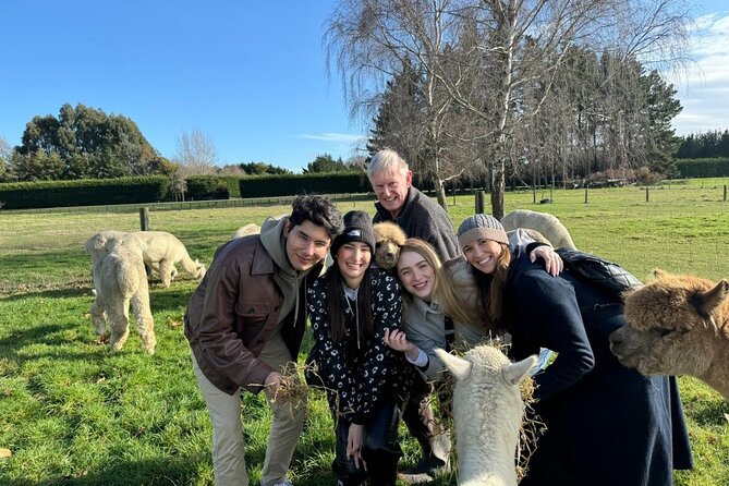Christchurch Alpaca Farm Tour From Kaiapoi - Handling fleece in the fibre shed