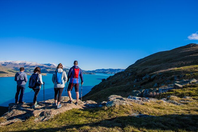 Christchurch Sheep Farm Visit - Is $111.70 good value?