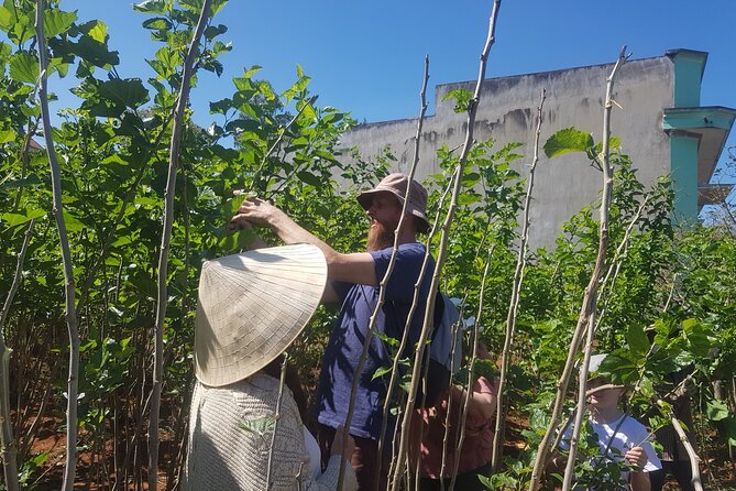Coffee & Culture Experience _From Farm to Cup by Elon Farm - Harvesting coffee cherries from November through February