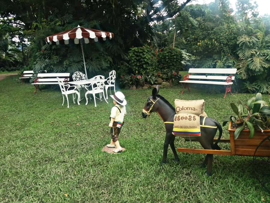 Coffee Experience: Hacienda Coloma Tour from Bogotá - From Bogotá traffic to Fusagasugá coffee country