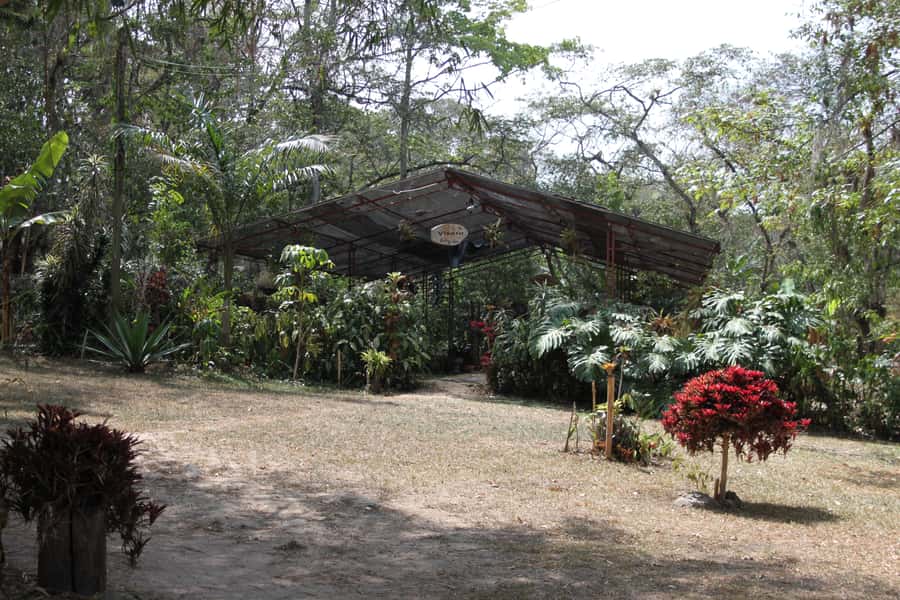Coffee Experience: Hacienda Coloma Tour from Bogotá - A practical packing list for the farm