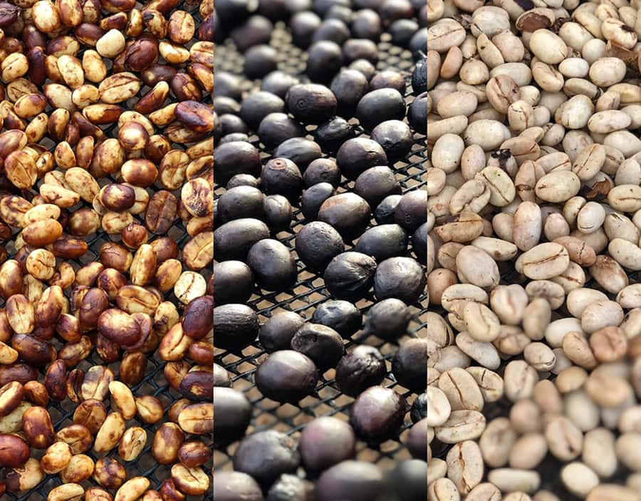 Coffee Farm and Salento Walking Tour - A one-hour walk through Salento
