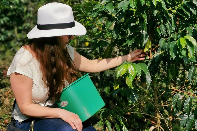 Coffee Farm & ATVs Private Tour in Medellin: Stunning Views & Fun - Key points to know before booking