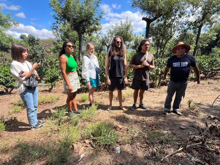 Coffee farm experience - From Antigua to a family coffee farm in Ciudad Vieja