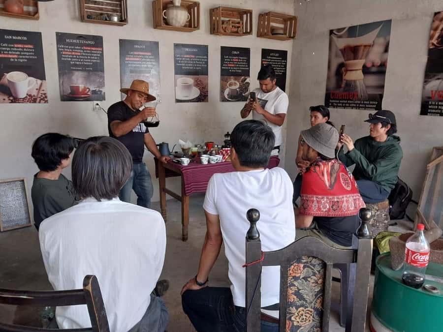Coffee farm experience - Seeing the work behind every cup