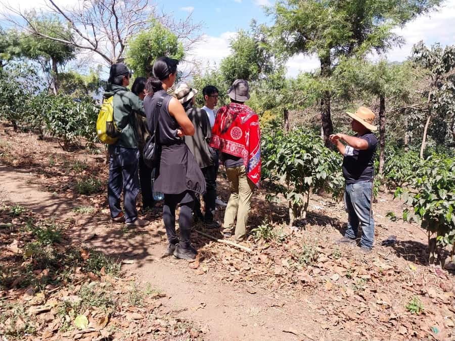 Coffee farm experience - Meeting Baudilio and his family