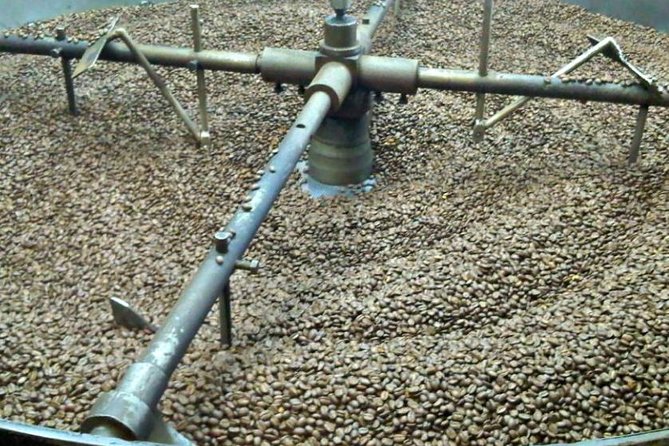 Coffee Farm Experience Private Day Tour - The long road from Bogotá to Hacienda Coloma