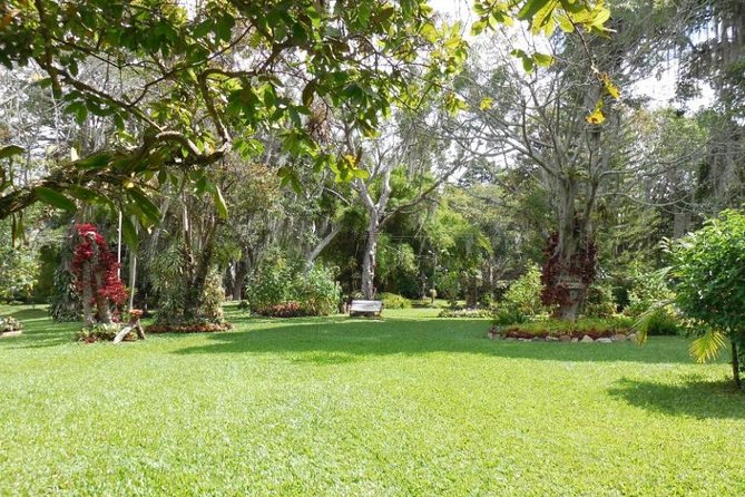Coffee Farm Experience Private Day Tour - Coffee tasting, liquor, and the optional lunch
