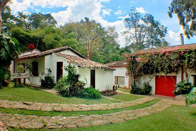 Coffee Farm Experience Private Day Tour - Why the private format matters