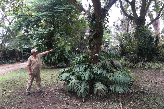 Coffee Farm Experience Private Day Tour - The scenery beyond Bogotá