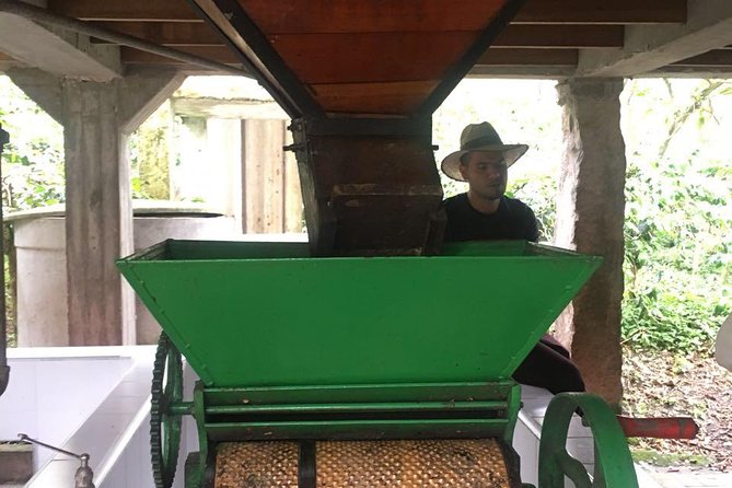 Coffee Farm Experience Private Day Tour - Who should book this coffee farm day?