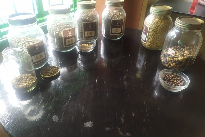Coffee Farm Half-Day Tour in Kenya - The guide can shape the day