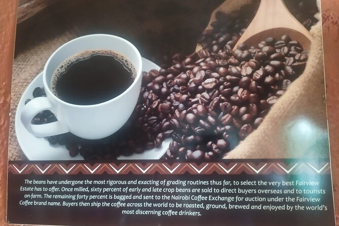 Coffee Farm Half-Day Tour in Kenya - Booking, cancellation, and practical checks