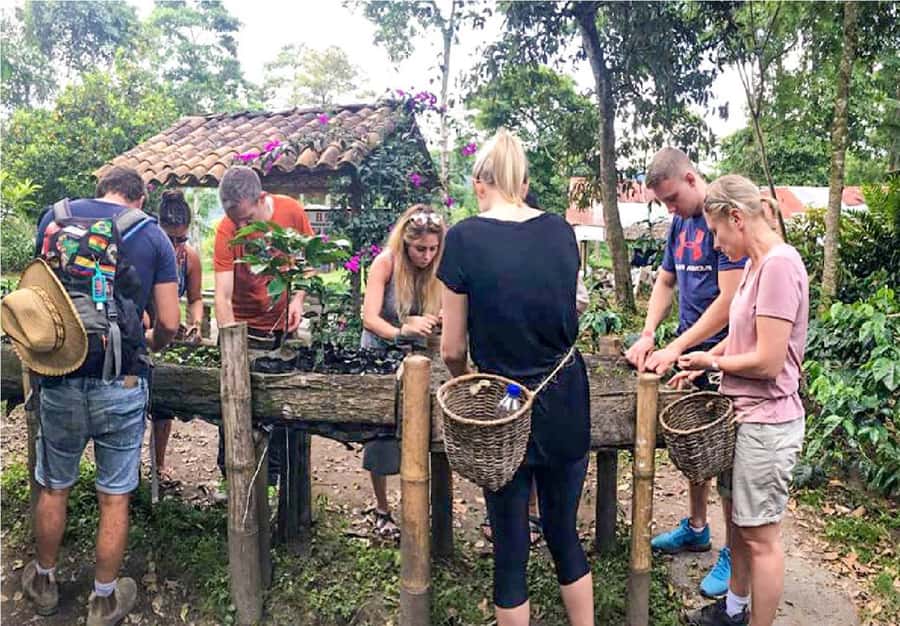 Coffee Farm Tour at Finca El Ocaso from Salento - From Salento to the farm in three hours