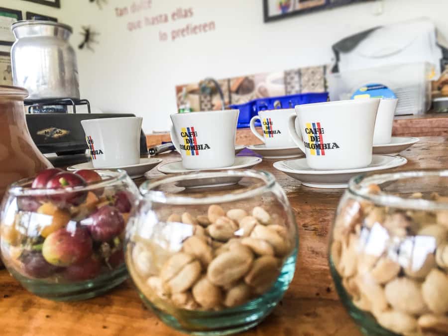 Coffee Farm Tour at Finca El Ocaso from Salento - How Colombian coffee moves from plant to cup
