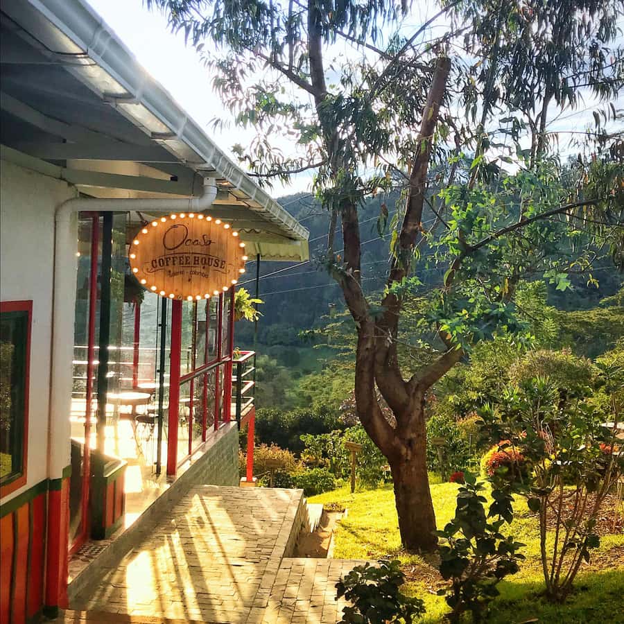Coffee Farm Tour at Finca El Ocaso from Salento - The tasting is more than a final cup