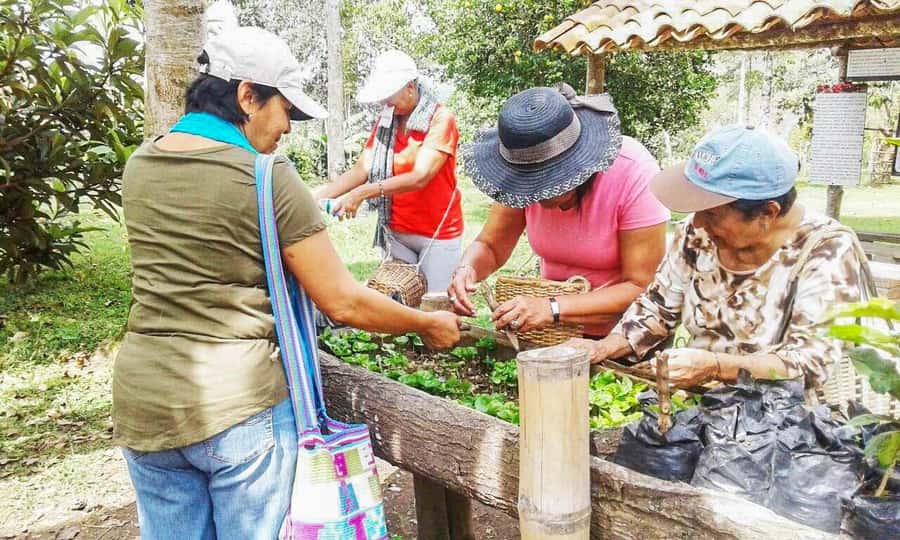 Coffee Farm Tour at Finca El Ocaso from Salento - English and Spanish departures