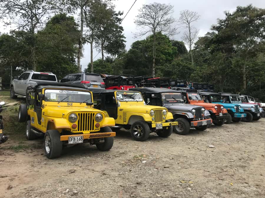 Coffee Farm Tour at Finca El Ocaso from Salento - Is $93 a fair price?