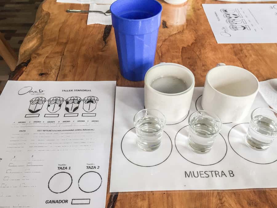Coffee Farm Tour at Finca El Ocaso from Salento - Practical planning for the visit