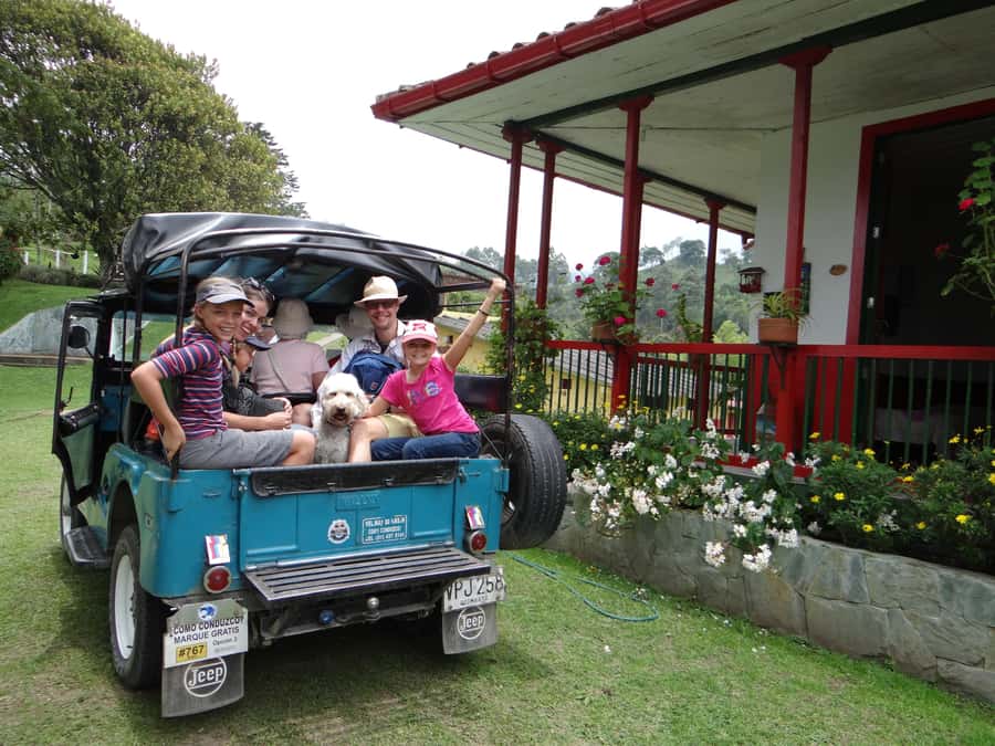 Coffee Farm Tour at Finca El Ocaso from Salento - Walking through coffee plants, streams, and native growth