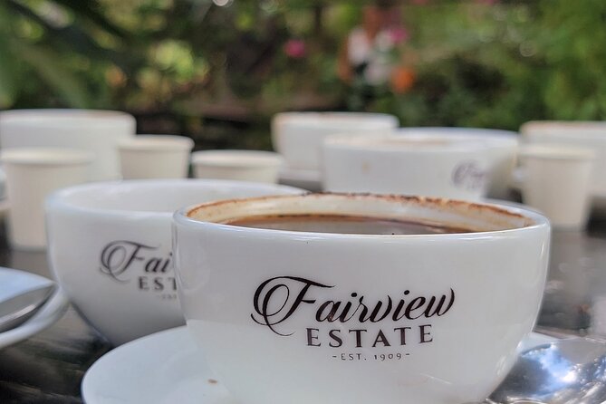 Coffee Farm Tour (Fairview) - From Nairobi to Fairview Coffee Estate