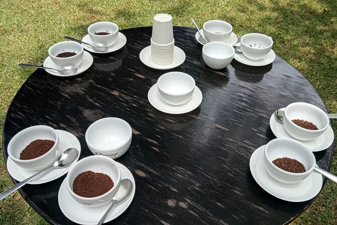 Coffee Farm Tour (Fairview) - The four coffee tasting