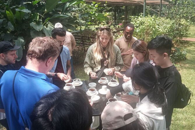 Coffee Farm Tour (Fairview) - Price, entrance fee, and overall value