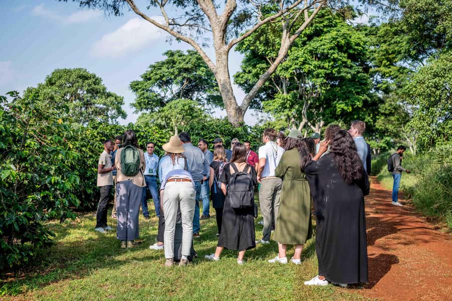 Coffee Farm Tour (Fairview) - Practical tips for a smoother visit