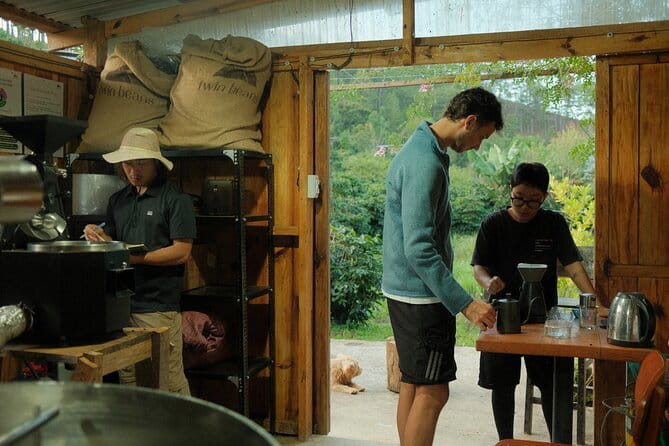 Coffee Farm Tour with Roasting & Tasting Workshop - Da Lat - Walking through an Arabica plantation