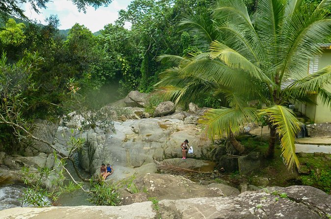 Coffee Plantation and River with Waterfalls in Puerto Rico - The guide and the plantation explanation