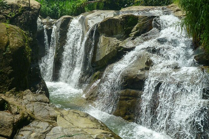 Coffee Plantation and River with Waterfalls in Puerto Rico - Who will enjoy this outing most