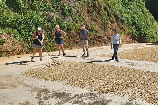 Coffee Plantation Experience - Key points at a glance