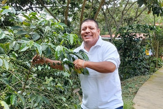 Coffee Plantation Experience - What makes the coffee plantation worthwhile