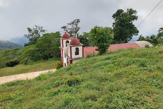 Coffee Plantation Experience - Private touring and the four-person minimum