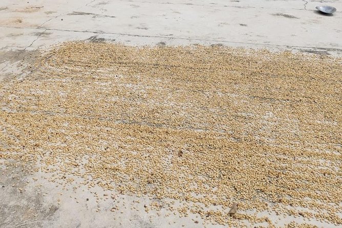 Coffee Plantation Experience - Santa María Huatulco adds a useful local stop