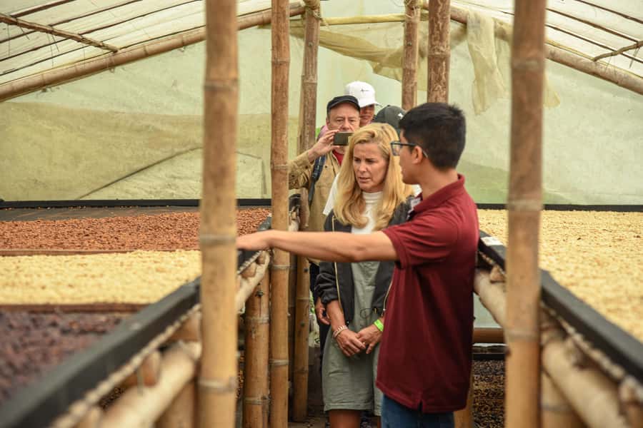 Coffee Tour at Finca El Ocaso Salento: Traditional Spanish Farm - Who Will Enjoy This Farm Visit Most