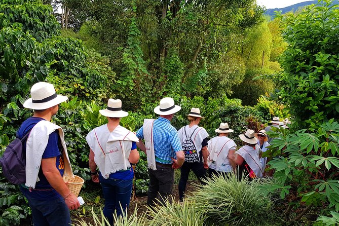 Coffee Tour at the Finca del Café - Learning to taste the finished coffee