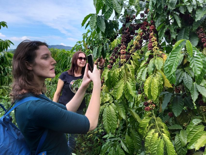 Coffee - Wine - Tea Da Lat's Agricultural Treasures Tour - Key points to know before booking