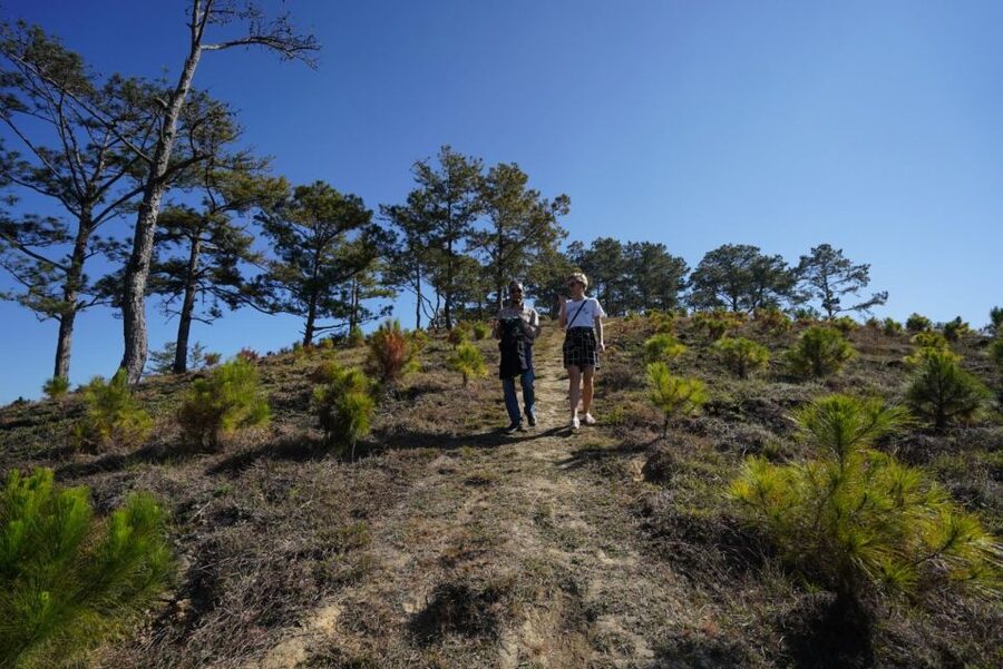 Coffee - Wine - Tea Da Lat's Agricultural Treasures Tour - Why this Da Lat tour works well as a full day