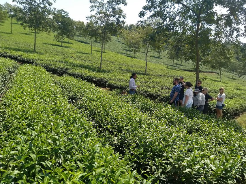 Coffee - Wine - Tea Da Lat's Agricultural Treasures Tour - Ladora Winery, with a Monday warning