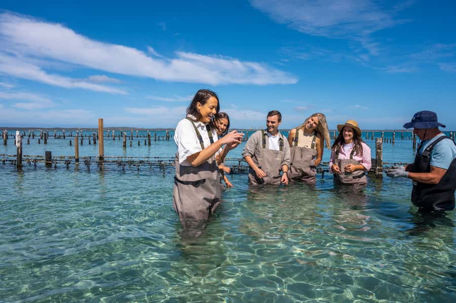 Coffin Bay: Oyster Farm Boat Tour with Wading & 12 Oysters - Brother’s Island and the return along the coast