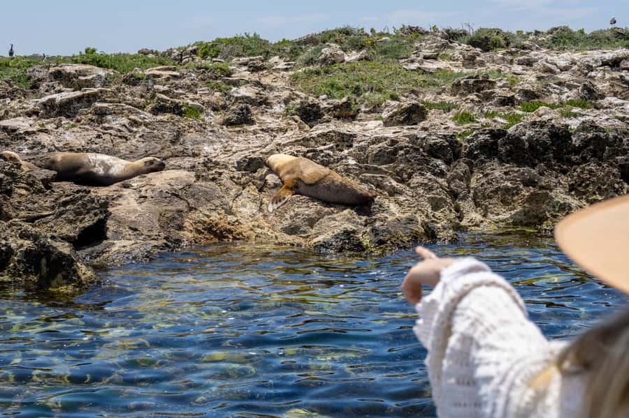 Coffin Bay: Oyster Farm Boat Tour with Wading & 12 Oysters - What the $130 price delivers