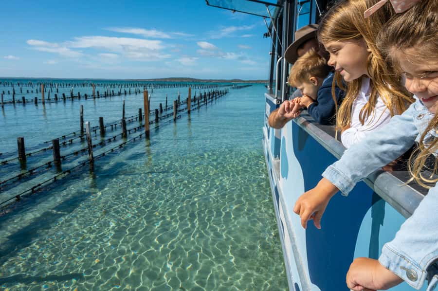 Coffin Bay: Oyster Farm Boat Tour with Wading & 12 Oysters - Who will enjoy the three-hour outing most