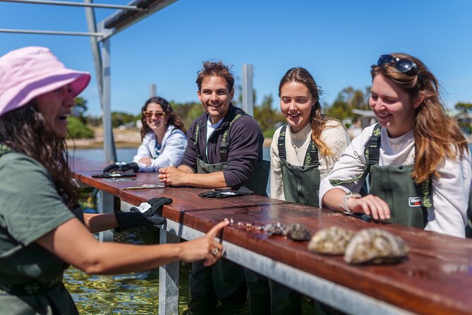 Coffin Bay Oyster Farm Wading Tour & Tasting Experience - Wildlife, Weather, and the Feel of Coffin Bay