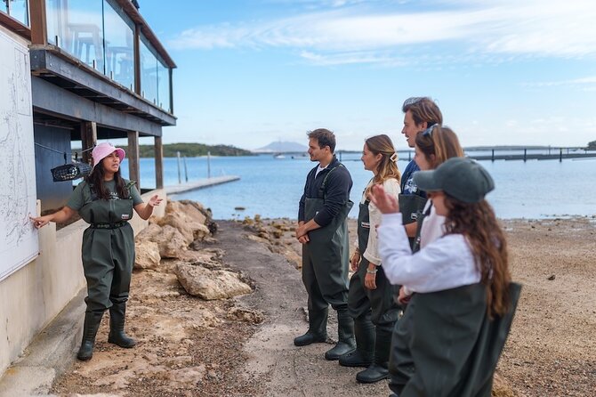 Coffin Bay Oyster Farm Wading Tour & Tasting Experience - Who Will Get the Most From the 90 Minutes