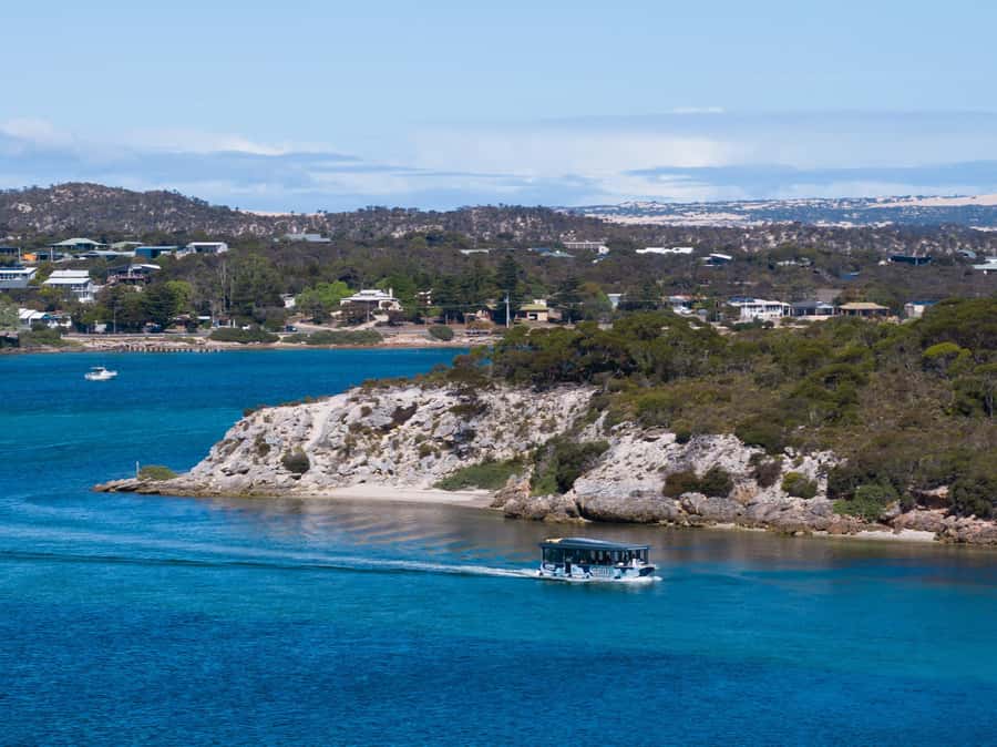 Coffin Bay: Short and Sweet Oyster Farm Tour - Starting at Berth 5 in Coffin Bay